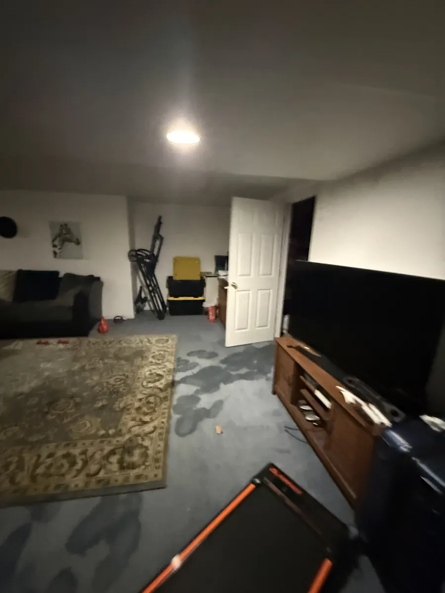 Dark wet patches on carpet in a finished basement